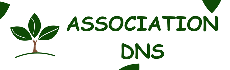 Association DNS